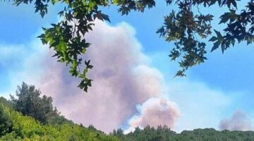 Son dakika! Urla’da orman yangını: Havadan ve karadan müdahale ediliyor