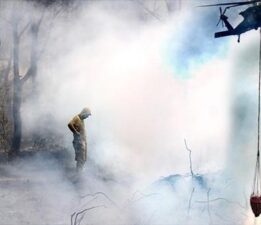 Son dakika yangın haberleri: Kabus devam ediyor! İzmir’deki yangında son durum nedir?
