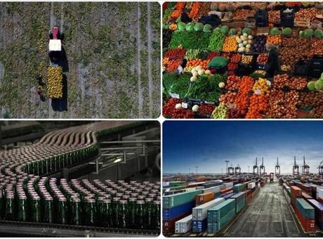 Tarım, gıda ve içecek sektöründen 11,54 milyar dolarlık ihracat