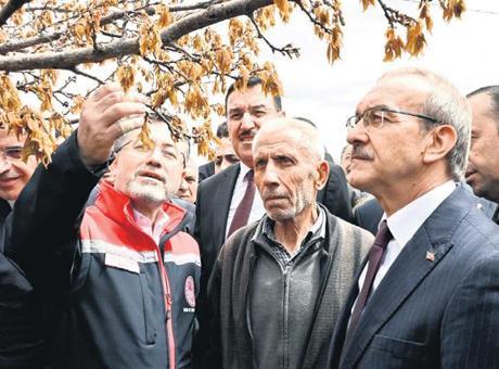 Tarım sigortasında zirai don dikkat çekti