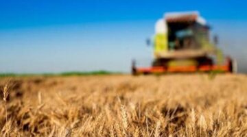 Tarımsal destek ödemeleri bugün hesaplara yatırılacak