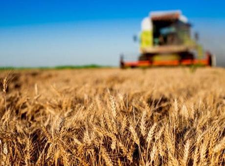 Tarımsal destek ödemeleri bugün hesaplara yatırılacak