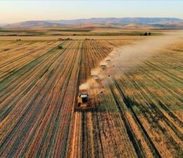 Tarımsal destekleme ödemeleri sorgulama ekranı 2025: Temmuz ayı çiftçi destek ödemeleri yattı mı, ne zaman yatacak?