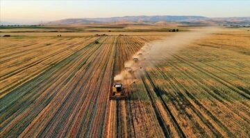 Tarımsal destekleme ödemeleri sorgulama ekranı 2025: Temmuz ayı çiftçi destek ödemeleri yattı mı, ne zaman yatacak?