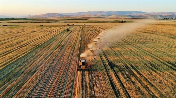 Tarımsal destekleme ödemeleri sorgulama ekranı 2025: Temmuz ayı çiftçi destek ödemeleri yattı mı, ne zaman yatacak?