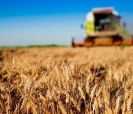 Tarımsal hasılada rekor! Bakan Yumaklı açıkladı: Dünyada ilk 7 ülke arasına girdik