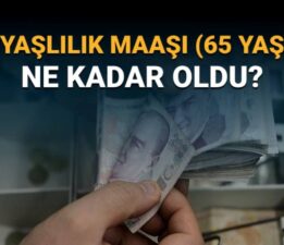 Temmuz zammıyla 65 yaş aylığı ne kadar oldu? Yaşlılık maaşında güncel rakam