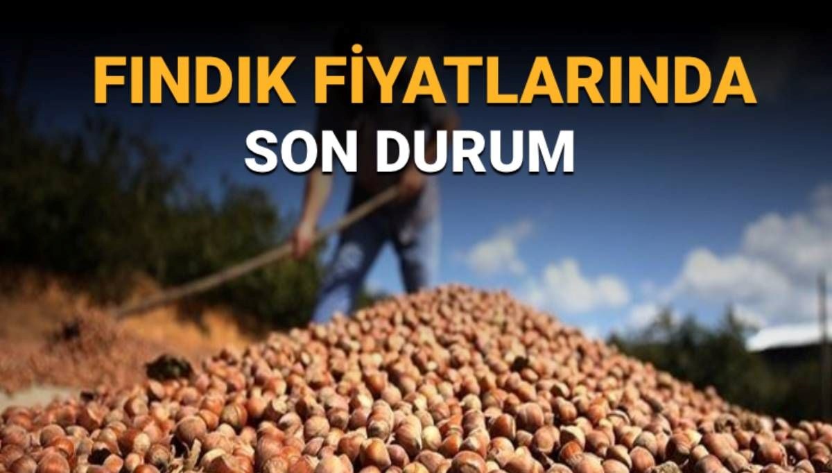 TMO fındık fiyatları açıklandı mı? Fındık alım fiyatlarında son durum