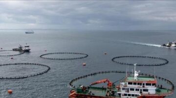 Trabzon’un su ürünleri ihracat geliri arttı