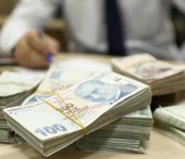 Türkiye’nin yerel gücü, kalkınma ajanslarının destekleriyle harekete geçiriliyor