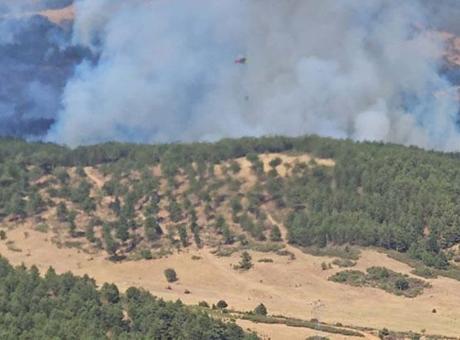 Uşak’taki orman yangını büyük ölçüde kontrol altında: 30 hektar kül oldu