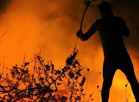 Uzmanından orman yangını gönüllülerine hayati uyarı: ‘Yangın sizden hızlı koşar’