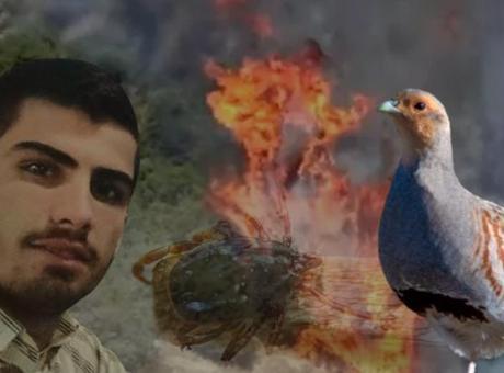 Yastıkta gördü, 120 dönümü yaktı! Kene eve girmez: ‘Çaresi ilaç değil, keklikler’