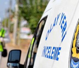Yavru kediler öldürülmüş olarak bulundu: Korkunç olayda flaş gelişme