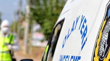 Yavru kediler öldürülmüş olarak bulundu: Korkunç olayda flaş gelişme