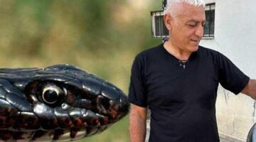 Yer: Tunceli! Tuvalete giren dev yılan korkuttu