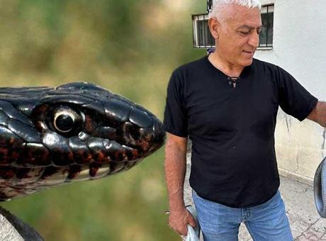 Yer: Tunceli! Tuvalete giren dev yılan korkuttu