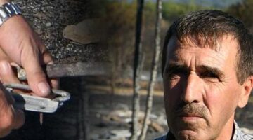 150 kovan dolusu arıyı bir günde kaybetti: Tek bir arım bile kalmadı