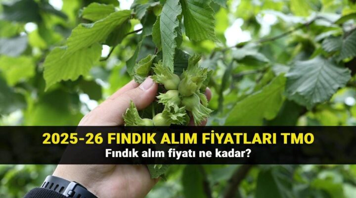 2025 fındık fiyatları belli oldu mu? Fındık fiyatlarında son durum