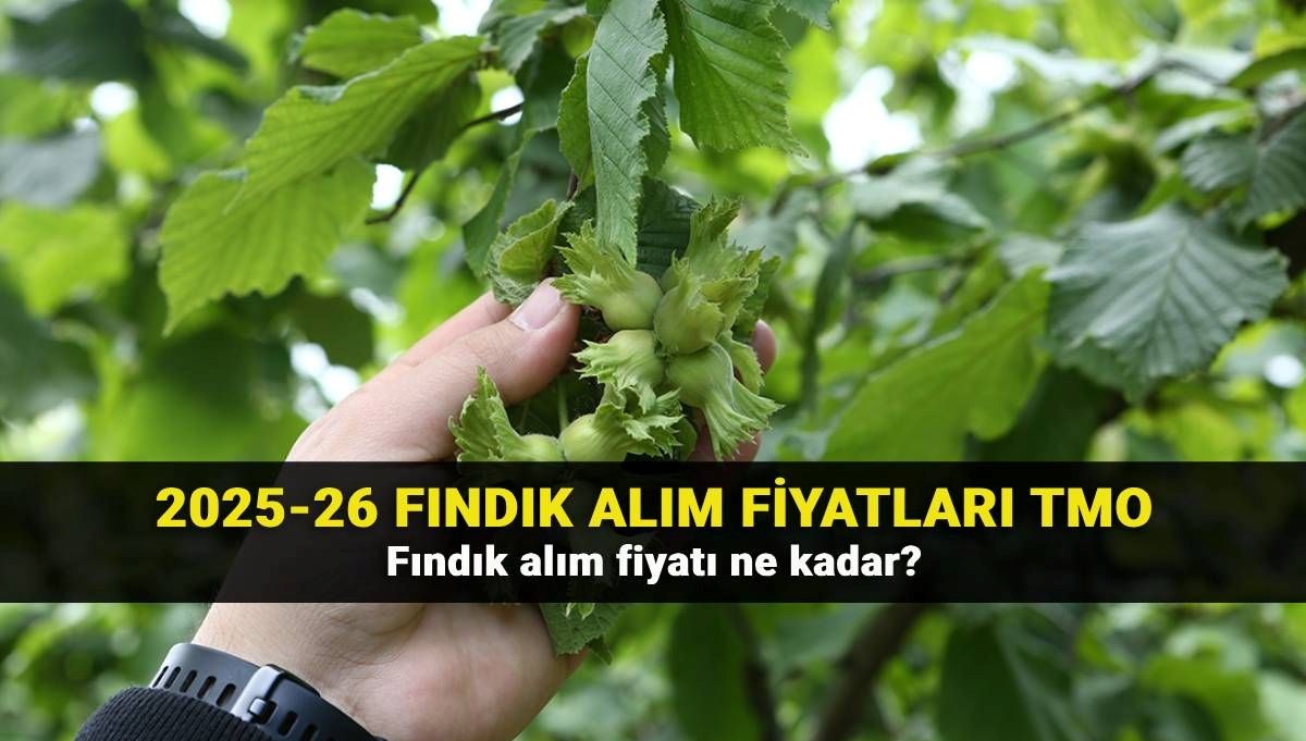 2025 fındık fiyatları belli oldu mu? Fındık fiyatlarında son durum
