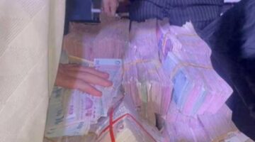 5 bin kişi katıldı! ‘Toy babaları’ paraları saydı: 5 kilo altın ve 19 milyon TL takı