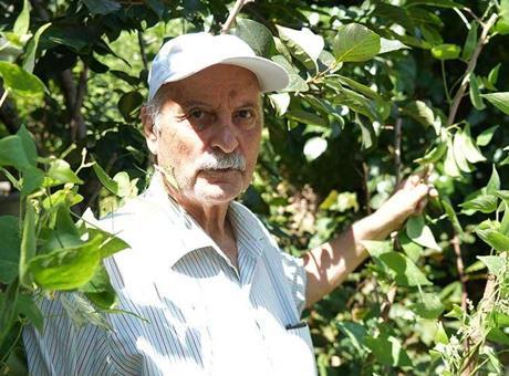 50 farklı ülkeden 200 çeşit tohumu Samsun’a getirdi: Yetkililer ‘olmaz’ dedi, ben 100 ton üretip sattım