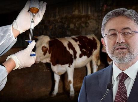 60 sene sonra ilk kez görüldü! Bakan Yumaklı: Enstitüsü yeni serotipe karşı aşı üretti