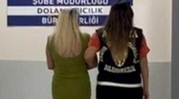 8,5 milyonu gizlice aktardı… Orman mühendisi şirketi soydu