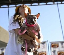ABD’de sevimlilik kalıplarını yıkan yarışma: Dünyanın en çirkin köpeği seçildi!