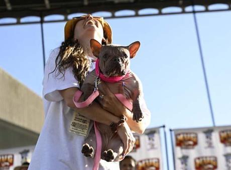ABD’de sevimlilik kalıplarını yıkan yarışma: Dünyanın en çirkin köpeği seçildi!