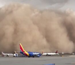 ABD’yi “Haboob” vurdu! Ağaçlar devrildi, elektrikler kesildi