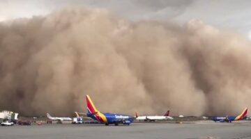 ABD’yi “Haboob” vurdu! Ağaçlar devrildi, elektrikler kesildi