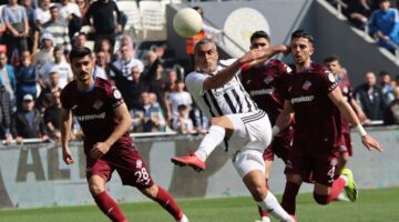 Asırlık çınar Altay seçime gidiyor