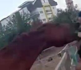 At babasının kucağındaki çocuğu havaya fırlattı