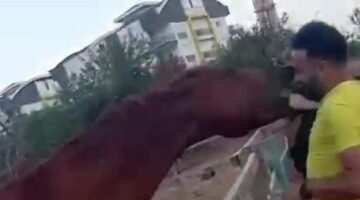 At babasının kucağındaki çocuğu havaya fırlattı