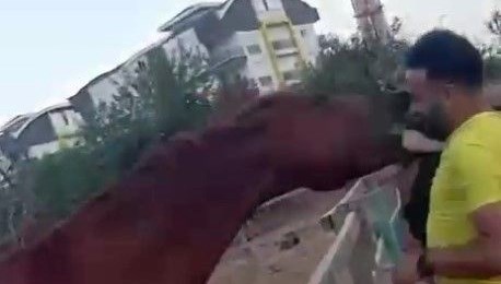 At babasının kucağındaki çocuğu havaya fırlattı