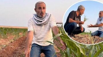 Aynı tarla, sıra dışı olay! Ektiği tohumlar filizlendi, şaşkına döndü: Ruh sağlığım bozuldu