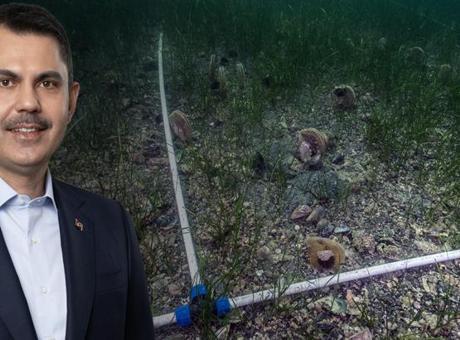 Bakan Kurum: Pina ve deniz çayırları Marmara’ya nefes oluyor