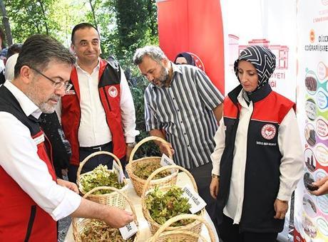 Bakan Yumaklı: Fındıktaki zirai dondan kaynaklı zarar için 2,3 milyar lira tazminat ödenecek