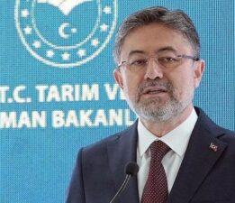 Bakan Yumaklı: Gelibolu ve Adana’daki yangınlar büyük ölçüde kontrol altında