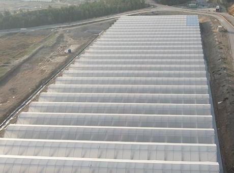 Batman’a 3 milyar liralık sera organize tarım bölgesi yatırımı