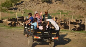 Berivanlar üç tekerlekli motosikletlerle yaylaya çıkıyor: Aile geçimine katkı