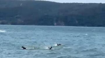 Beykoz’da tekne alabora oldu! 1 kişi hayatını kaybetti