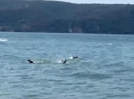 Beykoz’da tekne alabora oldu! 1 kişi hayatını kaybetti
