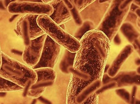 Bilim insanları bugüne kadarki en sentetik canlıyı oluşturdu
