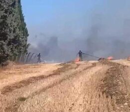 Bir kıvılcım yetti! Silivri’de alevler otluktan ormana sıçradı