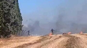 Bir kıvılcım yetti! Silivri’de alevler otluktan ormana sıçradı