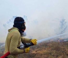 Bolu’da orman yangını! Havadan ve karadan müdahale ediliyor