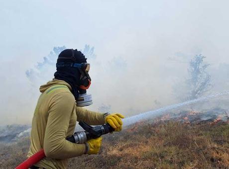 Bolu’da orman yangını! Havadan ve karadan müdahale ediliyor