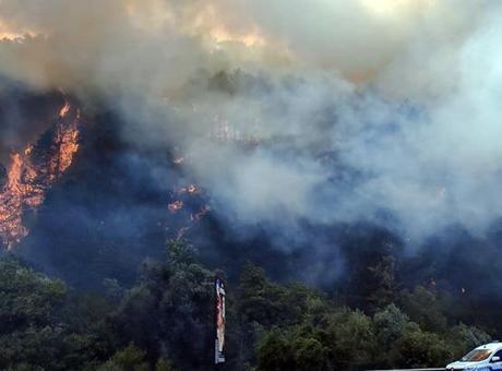 Bolu’da orman yangını! Müdahale sürüyor